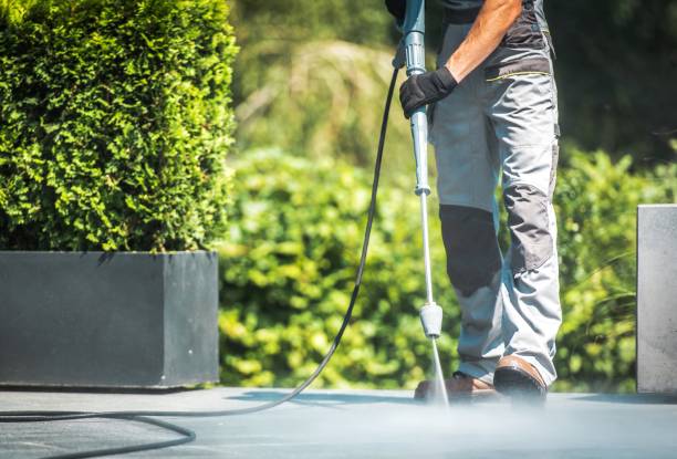 Best Graffiti Removal  in Somerset, TX