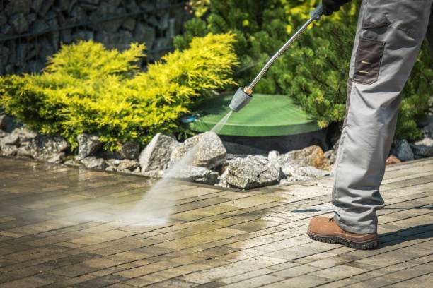 Best Driveway Pressure Washing  in Somerset, TX